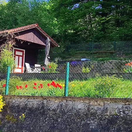 דירה Am Bach Mit Grossem Garten *
